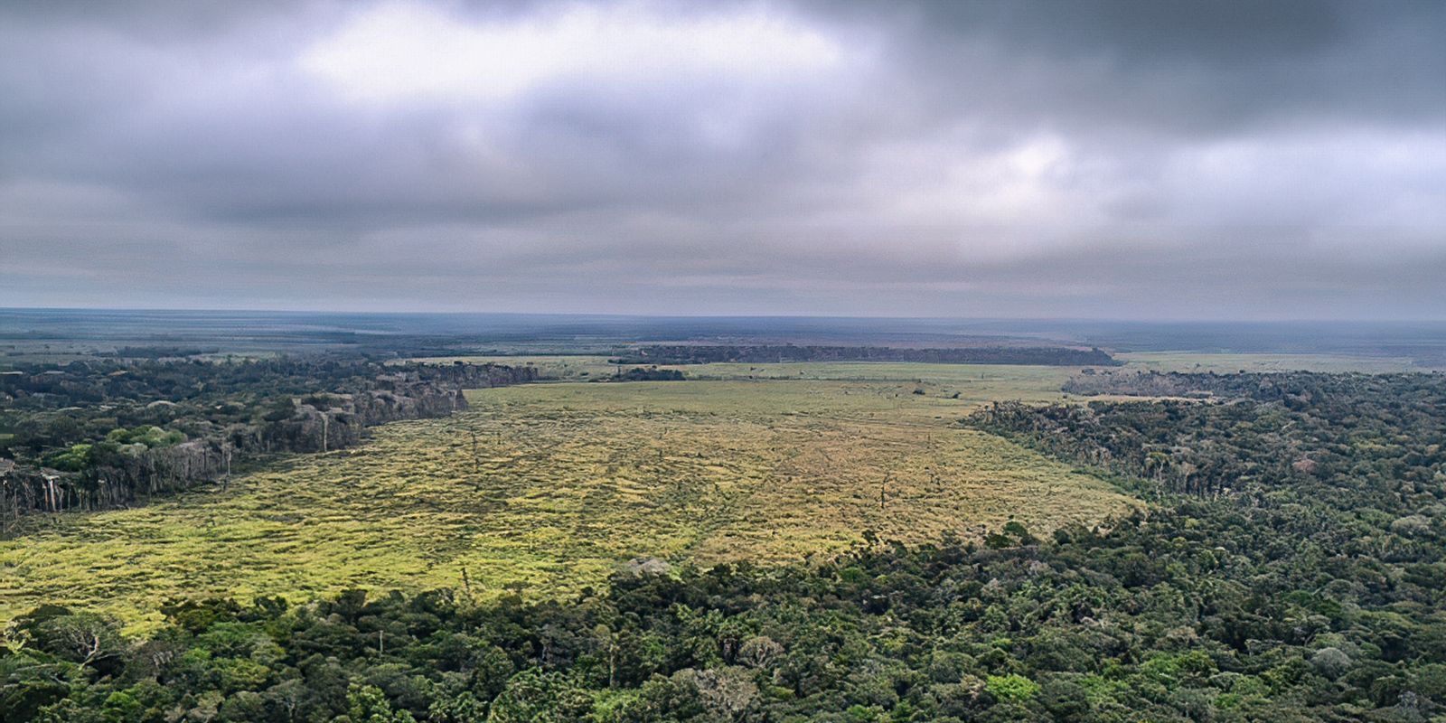 Ipam e Banco Mundial lançam plataforma sobre desmatamento na Amazônia