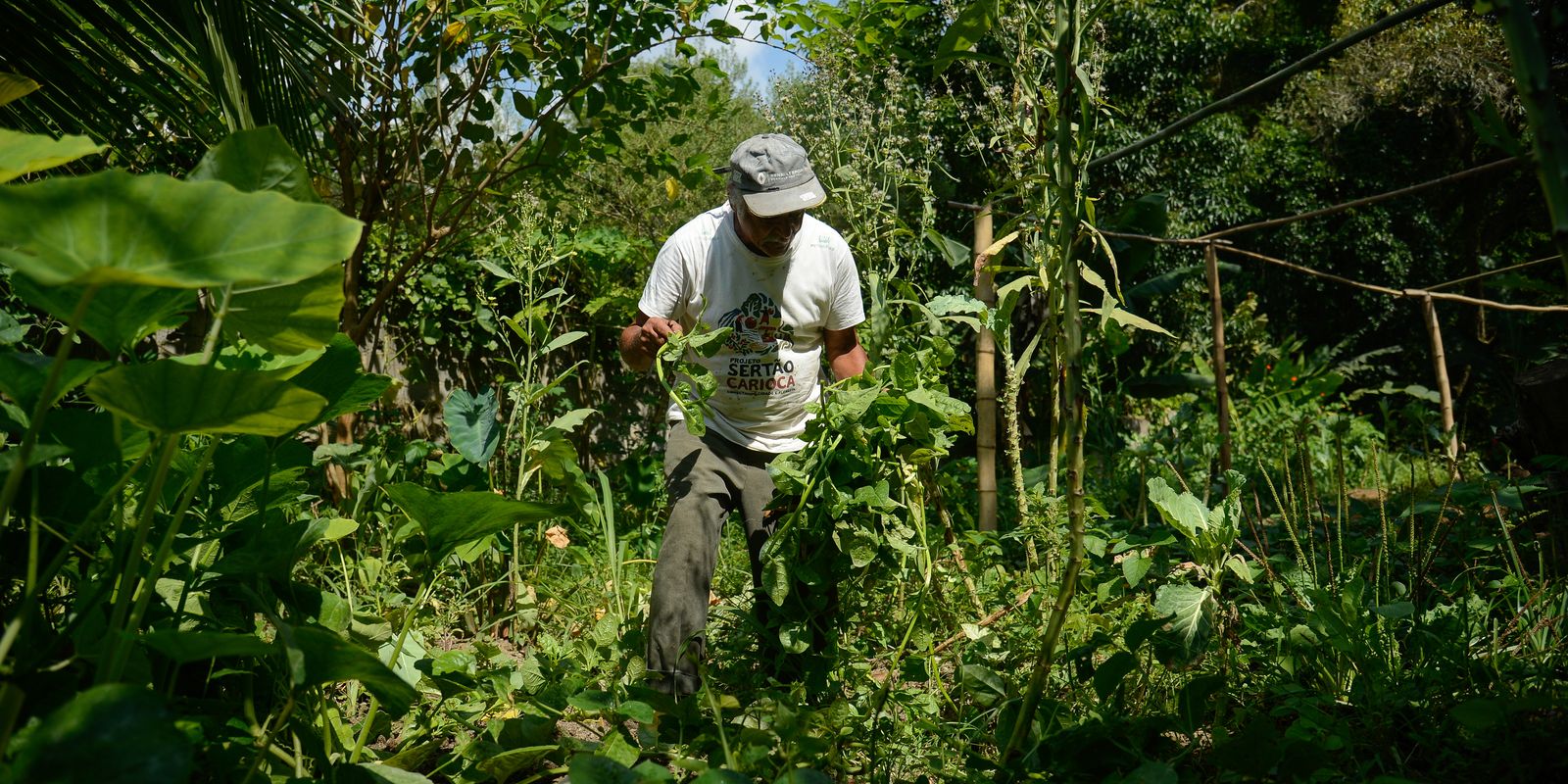 Quilombo no Rio integra o Programa de Aquisição de Alimentos