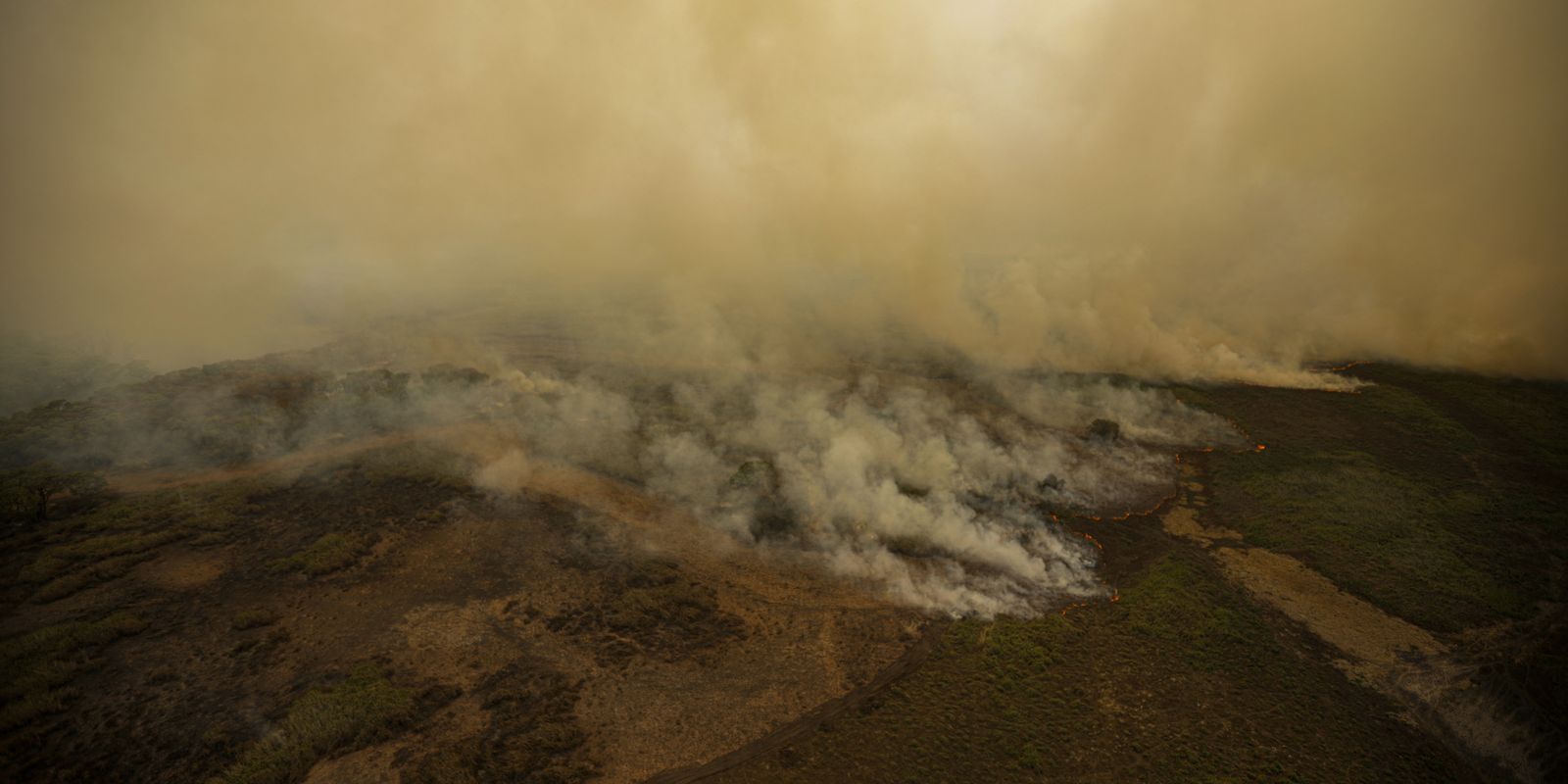 Pesquisa mede emissão de óxido nitroso na Amazônia e no Pantanal