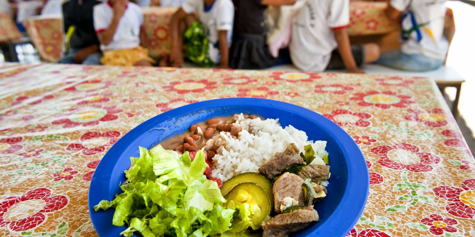 BNDES destina verba do Fundo da Amazônia para merenda escolar