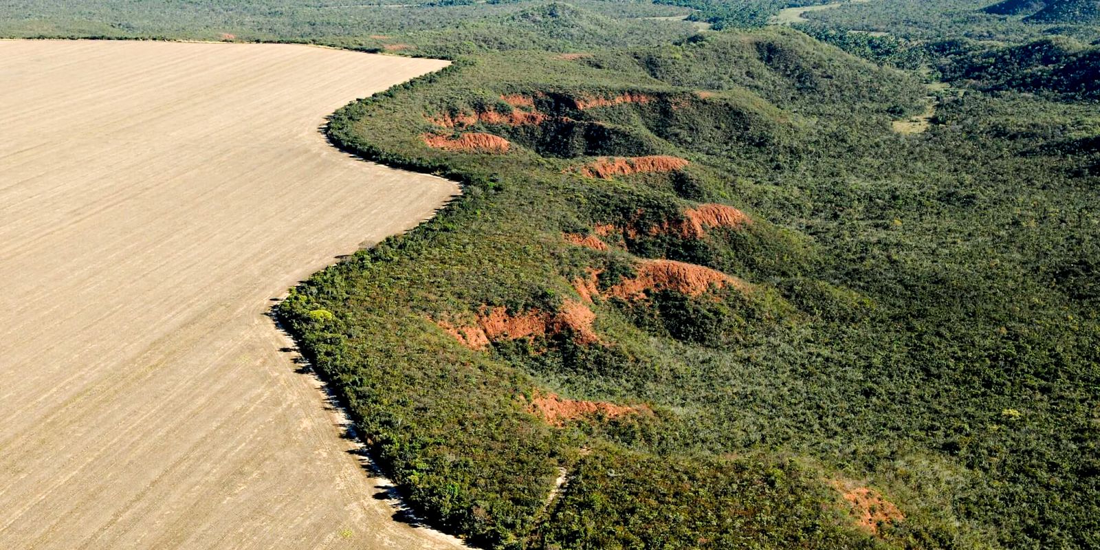 Cerrado tem alta de 19% nos alertas de desmatamento em fevereiro