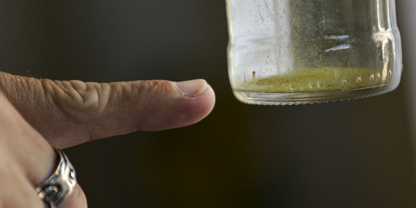 Sobe para 27 o número de mortes por dengue no estado de SP