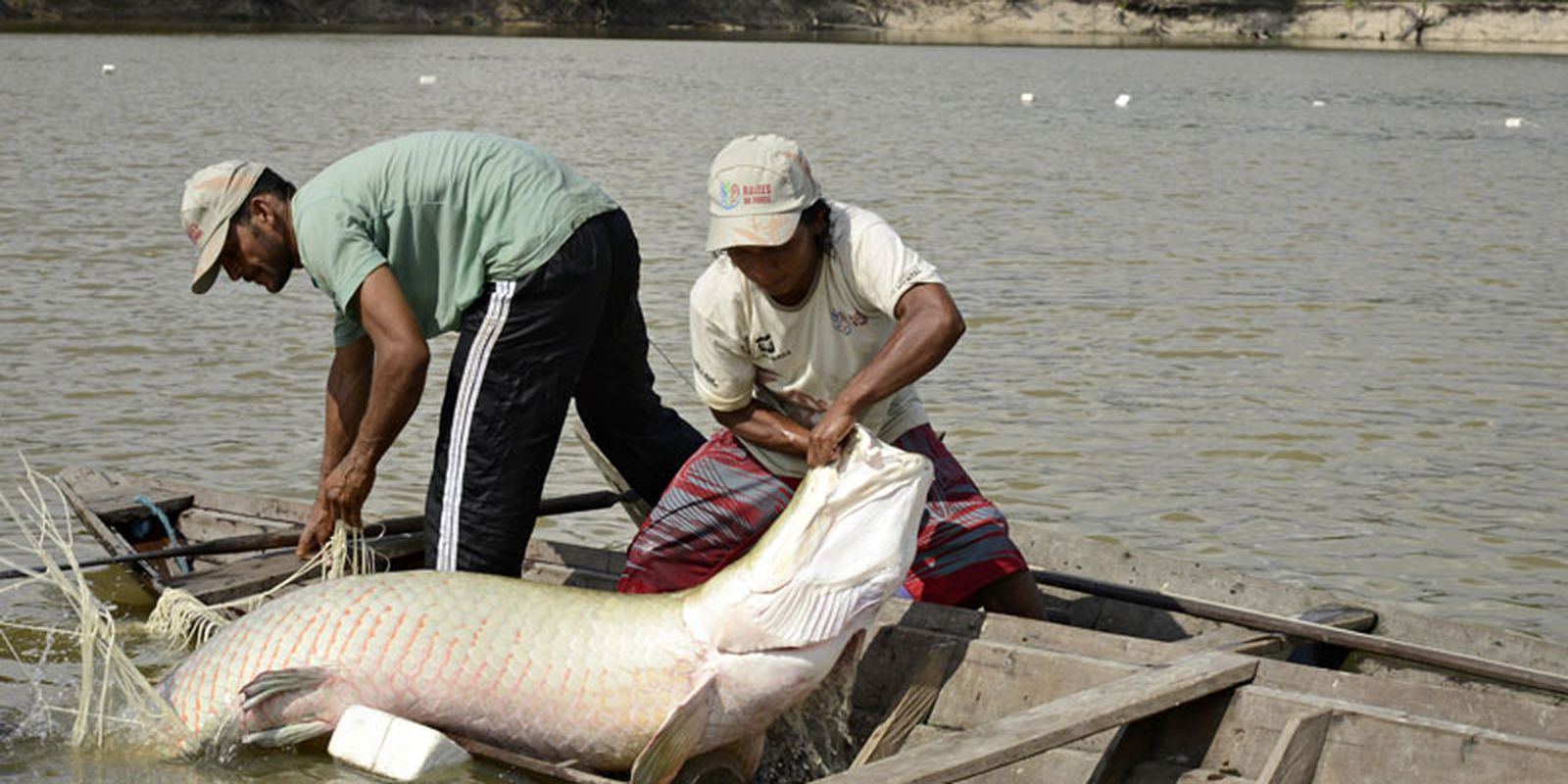 Peixes têm quantidade limitada para captura em 2024