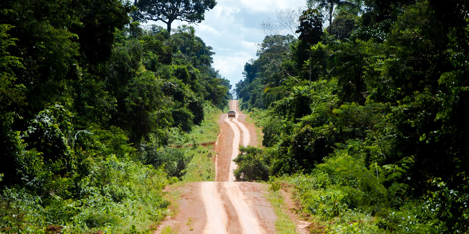 Amazônia: degradação afeta área três vezes maior que desmatamento