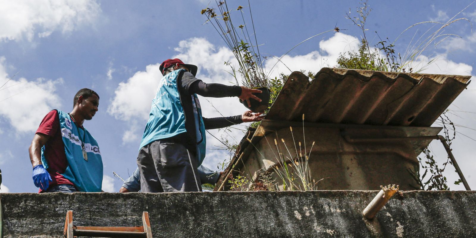 Sete estados e o DF têm tendência de queda nos casos de dengue