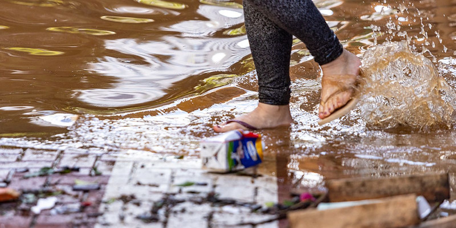 Com recuo da água, Porto Alegre enfrenta lixo na rua, ratos e insetos