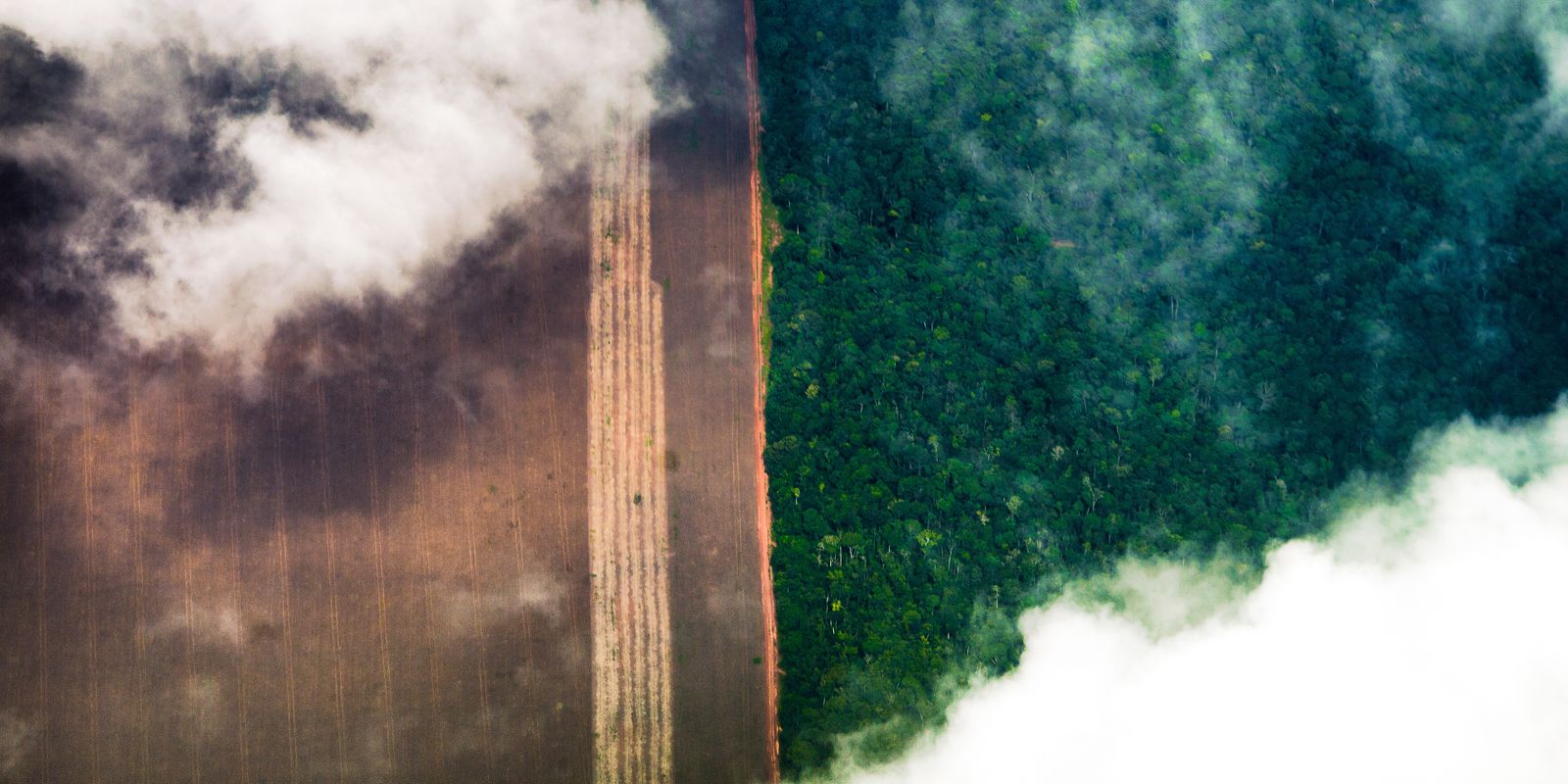 Conhecimento indígena pode melhorar relação com o meio ambiente