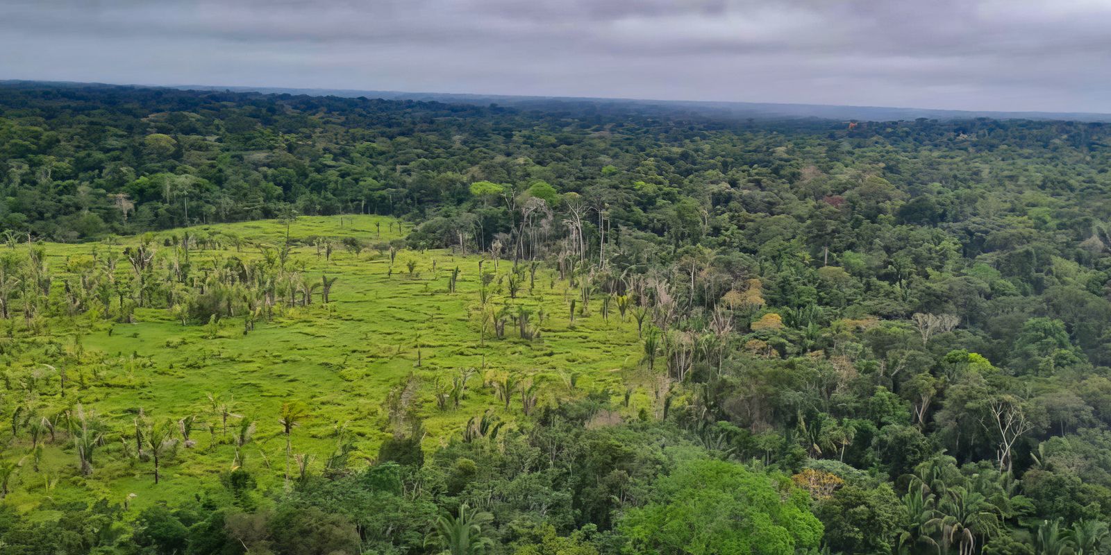 Desmatamento na Amazônia tem queda de 21,8% e no Pantanal, de 9,2%