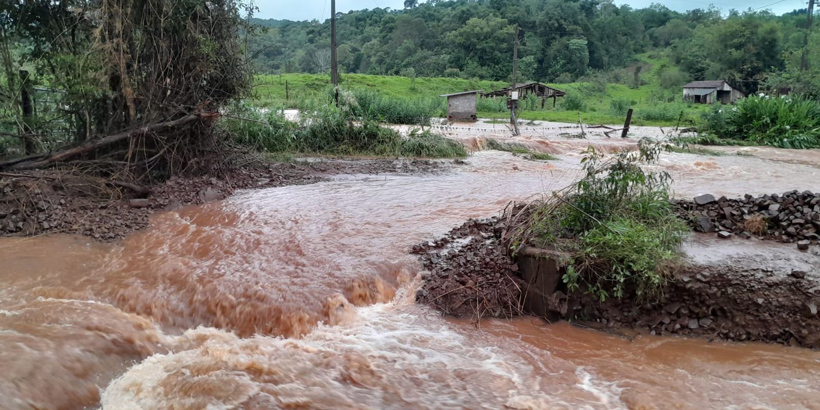 Recuperar vegetação degradada no RS ajuda a prevenir tragédias