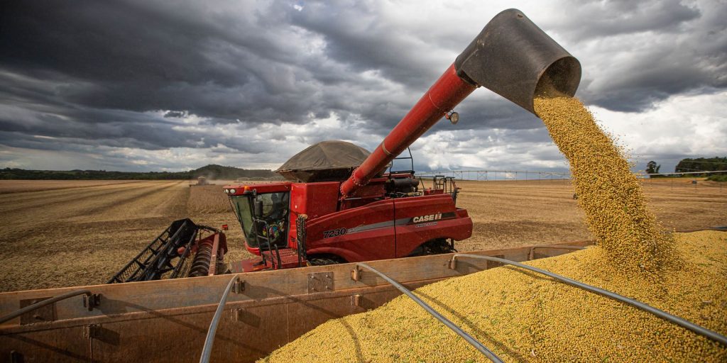 Produção brasileira de grãos deve ser 14,2% maior