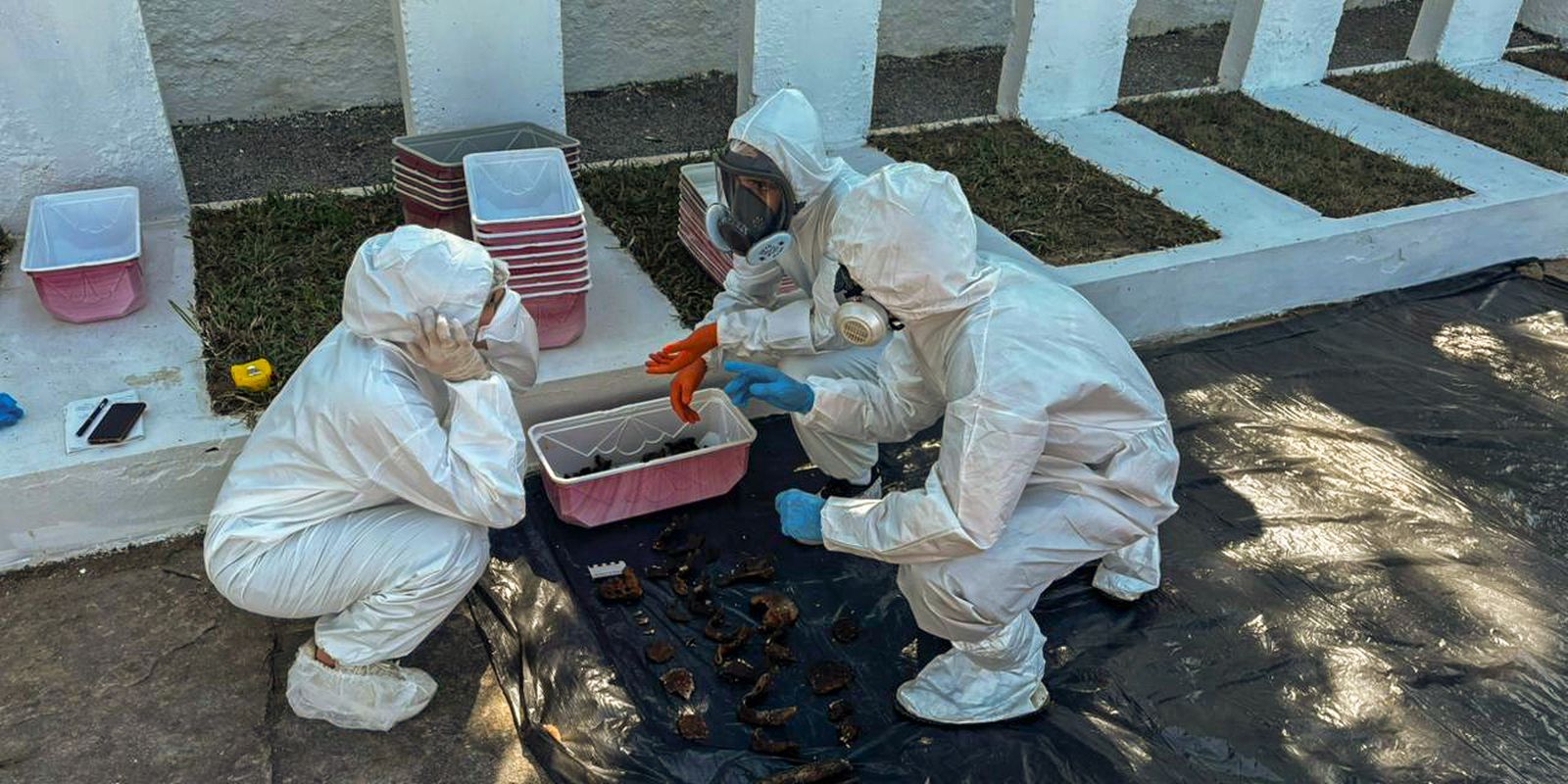 Rio: equipe encontra memorial para mortos da ditadura em deterioração