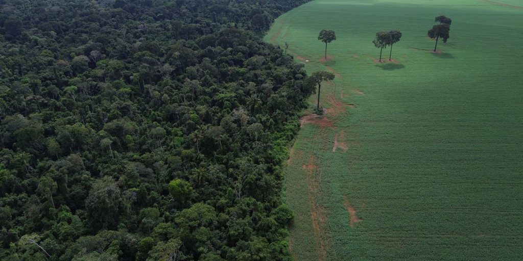Brics: financiamento climático é responsabilidade de países ricos