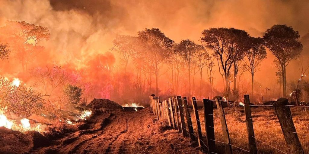 Ações da Operação Incêndios 2025 da PF iniciam pelo Pantanal