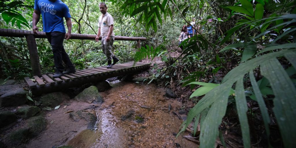 Confira os principais cuidados a serem tomados ao fazer trilhas