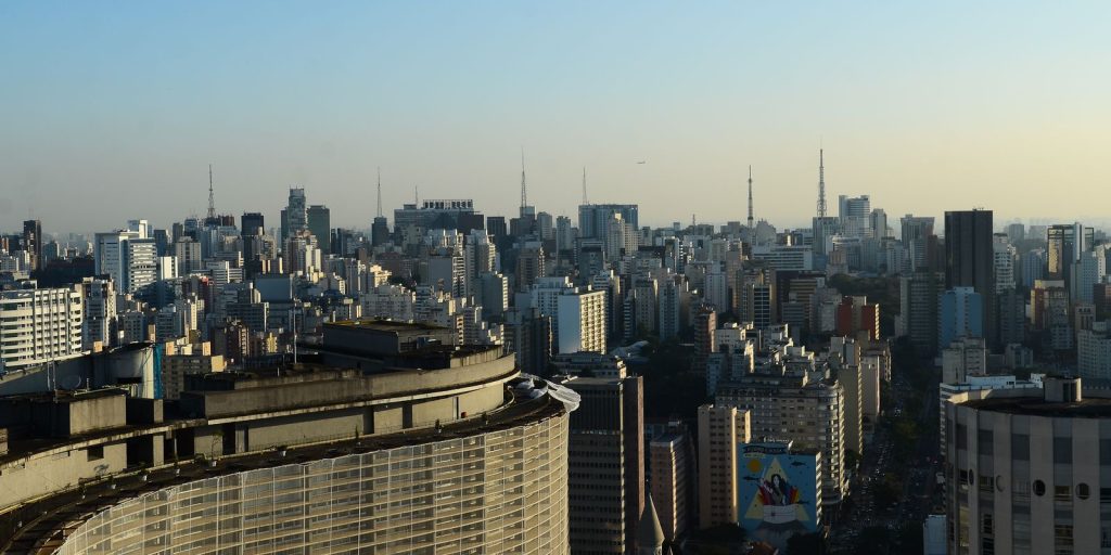 Prédios com vidraças nas cidades ameaçam aves, aponta pesquisa