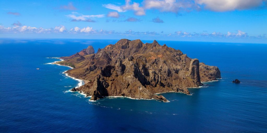 Ilha capixaba aumenta flora nativa e é modelo de restauração ambiental